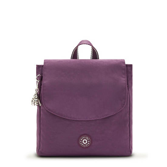 Kipling Dannie Small Backpacks Endless Plum | CA 1549OK